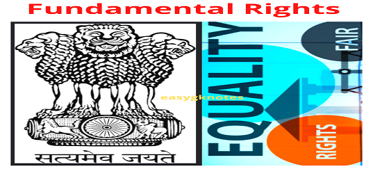 Fundamental Rights