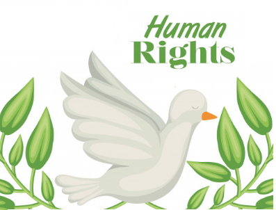 Fundamental Rights(6)& duties|Very important for exams|What about 7th fundamental right?